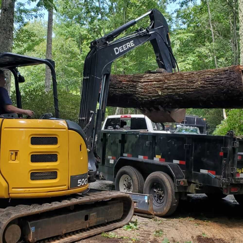 Tree Removal in Franklin, NC - Mendoza Tree Expert (5)