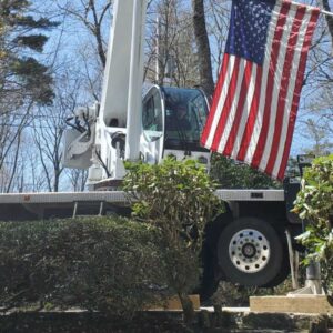 Tree Services in Franklin, NC - Tree Removal in Franklin, NC - Mendoza Tree Expert (6)