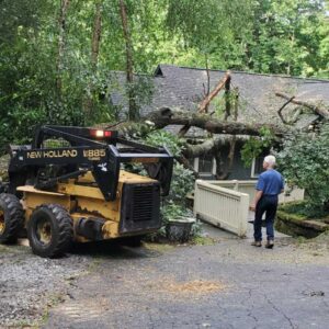 Tree Trimming in Franklin, NC - Mendoza Tree Expert (8)