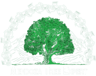 Mendoza Tree Expert Logo PNG